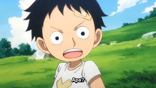 One Piece Episode 1029 Subtitle Indonesia