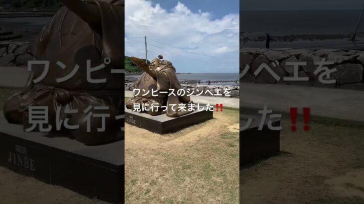 熊本の住吉海岸公園でワンピースのジンベエを見てきました。　#ワンピース　#ジンベエ