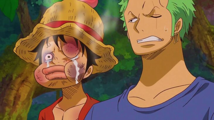 ルフィはサムライに言及して殴打される – ゾウのタブー【One Piece Best Moment】