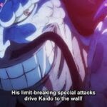 One Piece Episode 1033 English Subbed