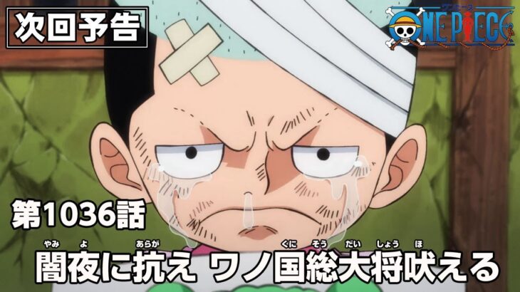 ワンピース 1036話 –  One Piece Episode 1036 [ Full ] | English Sub | Sub español | ~ LIVE ~