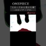 【ワンピース】”ミホークから受けた傷”-ロロノア・ゾロ- #onepiece #shorts #anime