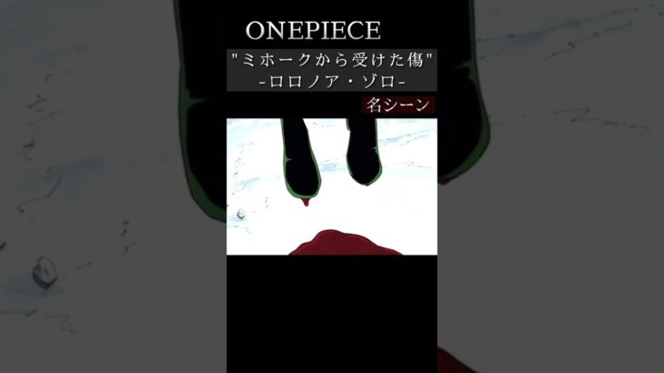 【ワンピース】”ミホークから受けた傷”-ロロノア・ゾロ- #onepiece #shorts #anime
