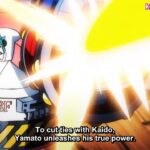 ワンピース 1041話 – One Piece Episode 1041 English Subbed