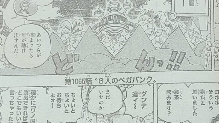 ワンピース 1065話―日本語のフル 『One Piece』最新1065話 死ぬくれ！
