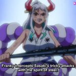 One Piece Episode 1041 English Subbed – ワンピース 1041話