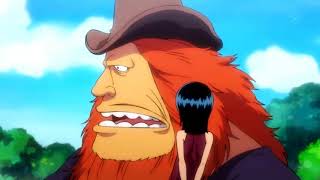 One Piece Episode 1042 English Subbed