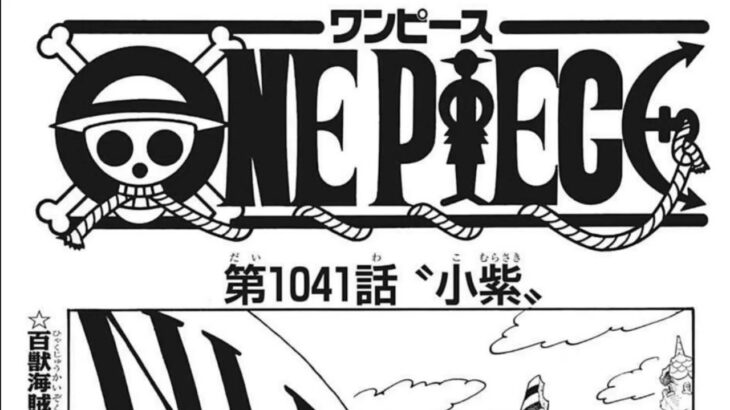 『ワンピース 』1040~1050語 日本語 100% 『One Piece』最新1071話