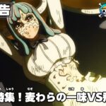 One Piece Episode 1046 English Subbed -ワンピース 1046話
