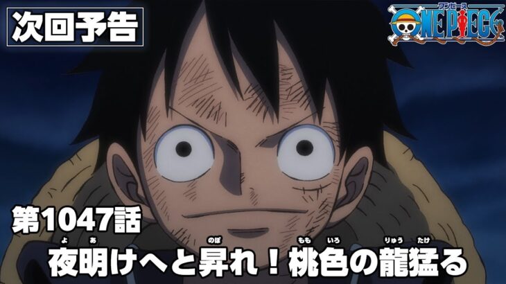 ワンピース 1047話 – One Piece Episode 1047 English Subbed | Sub español | ~ LIVE ~