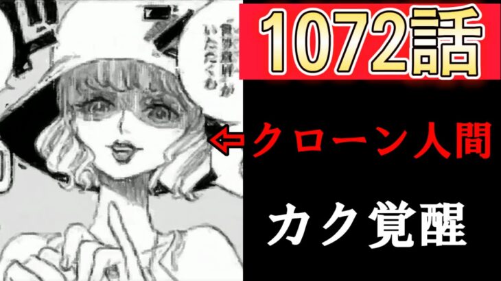 【緊急速報】ワンピース1072話ネタバレ