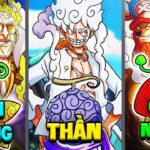 Giải Thích Tất Cả 144 Trái Ác Quỷ Trong One Piece 36 Phút