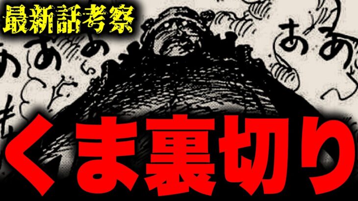 天竜人が抹殺される…!!?ワンピース史上最大の事件を起こすのはバーソロミュー・くまだった【ワンピース考察】