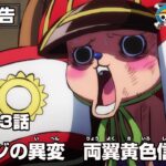 ワンピース 1053話 – One Piece Episode 1053 English Subbed | Sub español | LIVE