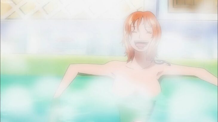 チョッパーと一緒にお風呂に入っているナミは、2 つの「大きな」オレンジを明らかにしました, Nami revealed 2 “big” oranges while taking a shower