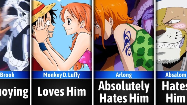 How Nami Sees Everyone in One Piece