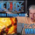 The Wano Arc looks AMAZING! | One Piece【ワンピース】Wano | ONIGASHIMA Sakuga MAD | Reaction