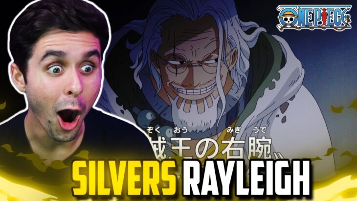“SILVERS RAYLEIGH” One Piece Ep. 394,395 Live Reaction!