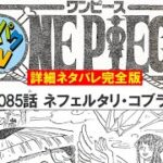 41ワンピース1085話 詳細ネタバレ ネフェルタリ・コブラの死 One Piece Spoiler Consideration Legendary Hero