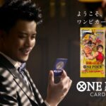 【公式】ONE PIECEカードゲーム 着信篇