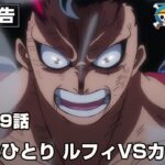 ワンピース 1069話 – One Piece Episode 1069 English Subbed | Sub español | LIVE
