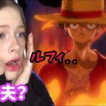 One Piece Ep:529,530【Reaction】【animation】