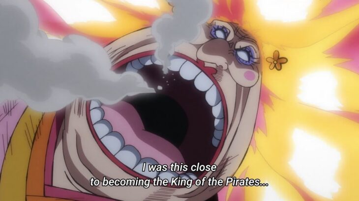 One Piece Episode 1067 English Subbed HD1080 – One Piece Latest Episode 1067