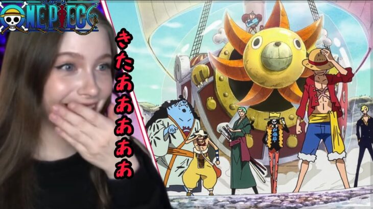 One Piece Ep:551,552,553【Reaction】【animation】