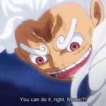 One Piece Episode 1075 English Subbed