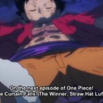 One Piece Episode 1077 English Subbed