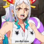 One Piece Episode 1077 English Subbed