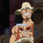 top 5 NASI più LUNGHI in One Piece
