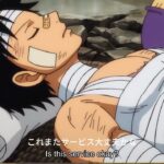 One Piece Episode 1078 English Subbed