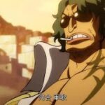 One Piece Episode 1080 English Subbed