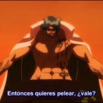 One Piece Capítulo 1082 FIXSub Español Completo FULL