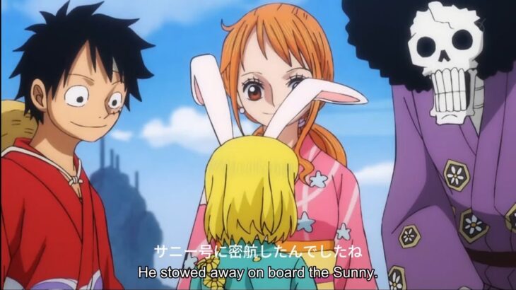 One Piece Episode 1084 English Subbed ~ワンピース 1084話