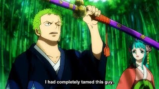 One Piece Episode 1084 English Subbed ( FIXSUB )