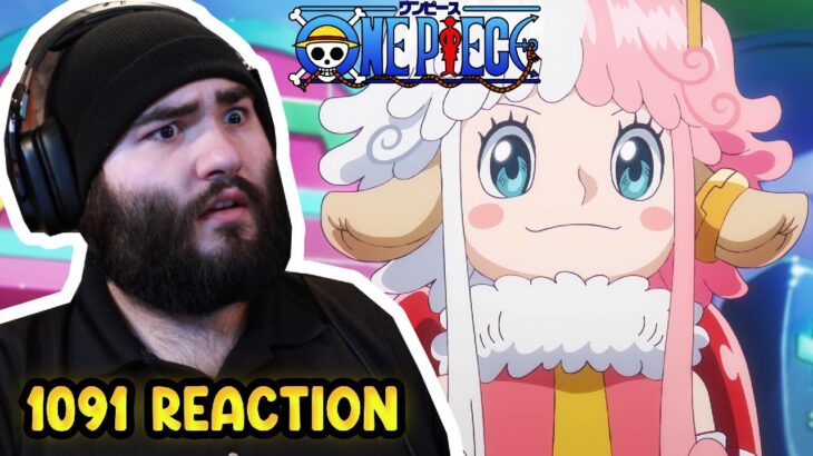 Who is Vegapunk! One Piece Episode 1091 Reaction