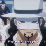 One Piece Episode 1098 English Subbed (FIXSUB)