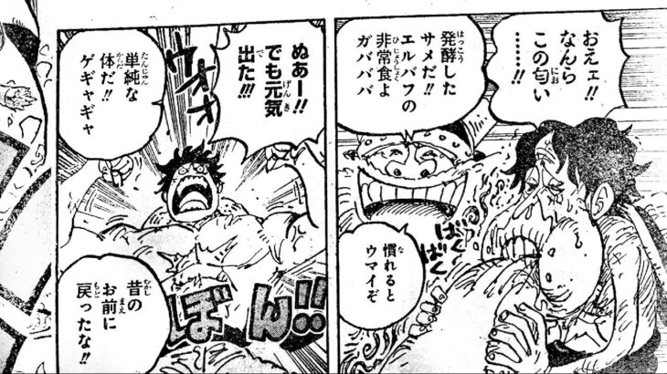 ワンピース 1112話―日本語のフル ネタバレ100% 『One Piece』最新1112話 死ぬくれ！