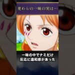 【ONE PIECE】麦わらの一味に関する実は…な雑学 #shorts #onepiece #ワンピース