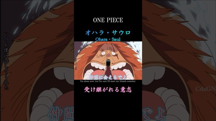 【ONE PIECE】Ohara「will」#shorts #anime #ワンピース #onepiece #mad