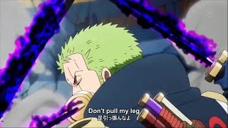 One Piece Episode 1109 English Subbed – ワンピース 1109話