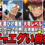 【ワンピース】作中で最も珍しい最強種ロギア！自然系最強ランキングTOP10【ゆっくり解説】