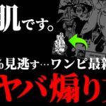 1123話の“とんでもない仕掛け”にお気付きですか？【ワンピース ネタバレ】【ワンピース 考察】