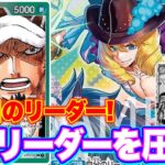 【ワンピースカード】大注目のリーダー！9弾リーダーを圧倒！！紫黒ルフィVS赤緑ロー！！　初心者・中級者向け