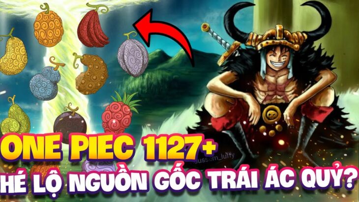 ONE PIECE 1127+ | HÉ LỘ NGUỒN GỐC TRÁI ÁC QUỶ