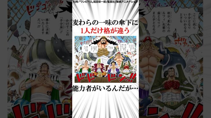 麦わらの一味の傘下に1人だけ格が違う能力者がいるんだが…【ワンピース】 #Shorts