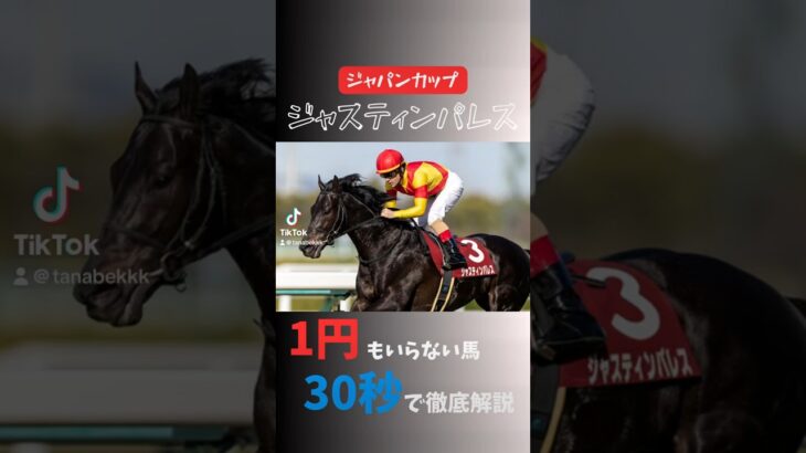 ジャスティンパレスは1円もいらない！　　　　　#競馬 #競馬予想 #ジャパンカップ #ジャスティンパレス