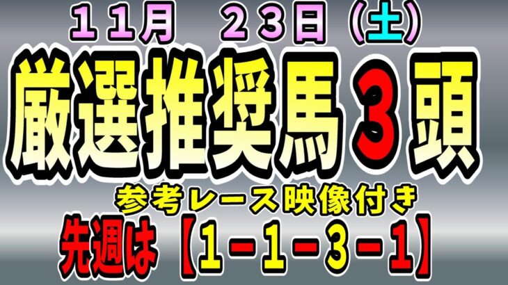 先週【1-1-3-1】【ジャパンカップ】【予想】中央競馬　１１月２３日の推奨馬